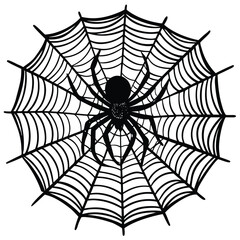 Black spider on intricate web arachnid Halloween