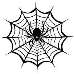 Obraz premium Black spider on intricate web arachnid white