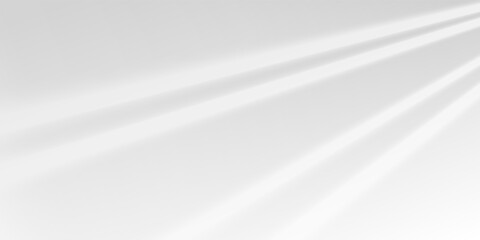 Soft window shadows and natural sunlight fall on white studio wall. Abstract overlay with summer mood. Minimal indoor backdrop with natural blur effect.