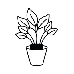 Bright Yellow Pot with Lush Money Plant