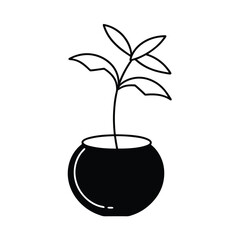 Money Plant in Coconut Shell Planter