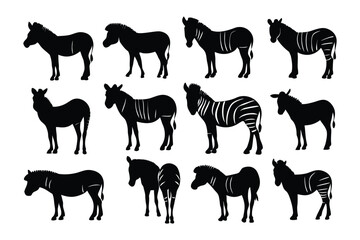 Collection of silhouetted frogs in various poses showcasing their unique anatomy and natural forms