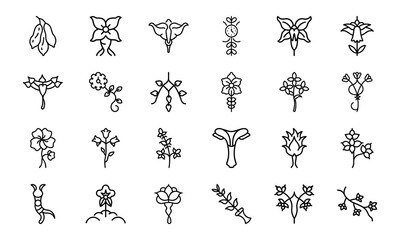 Bundle of Botanical and Feminine Line Art Icons — Uterus, Flowers, Herbal Elements in Minimal Vector Style for Feminist, Medical & Nature Themes