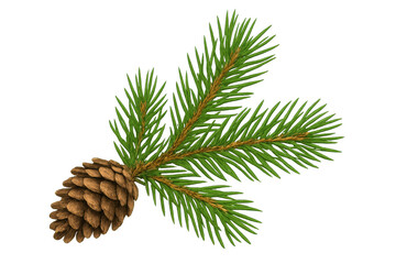 Photorealistic 3d fir branch with pine cone, transparently rendered, highlighting seasonal and natural design elements