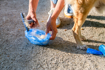 Pet Grooming: Close-up of Hands Brushing a Dog's Shedding Fur with a Deshedding Tool