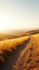 A Serene Dirt Road Meanders Through Rolling Hills Bathed in Warm Sunlight, Leading Towards a Distant Mountain Range