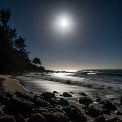 Moonlight bathing a tranquil beach at night.