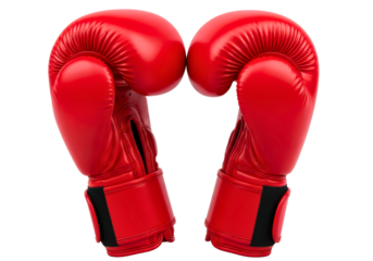 Red Boxing Gloves Facing Each Other Isolated
