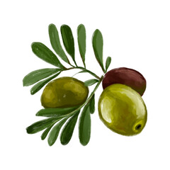 green olives with leaves, fruit decoration drink Hand Drawn on Transparent Background