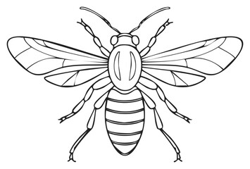 Insect outline illustration, top view of a bee with spread wings