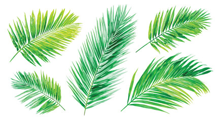 Tropical Palm Leaves Watercolor Illustration Isolated on White Background Exotic Foliage for Summer Designs and Creative Projects
