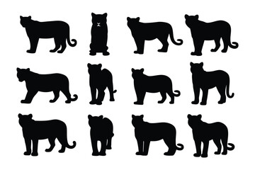 Collection of nine distinct zebra illustrations showcasing various poses and black and white stripe patterns