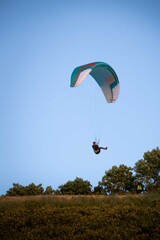 Parapente volant au dessus de la foret