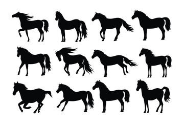 Collection of silhouetted kangaroos in various poses demonstrating unique australian wildlife and movement