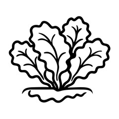 Lettuce growing in soil with green leaves in a simple design  