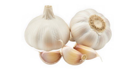 Two heads of garlic and three cloves isolated on a transparent background perfect for cooking and adding flavor to your dishes