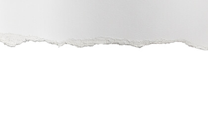 torn paper background