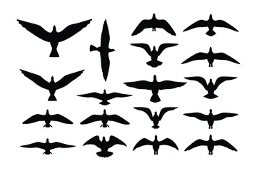 A collection of fifteen identical black bird silhouettes standing with their legs spread apart on a white background