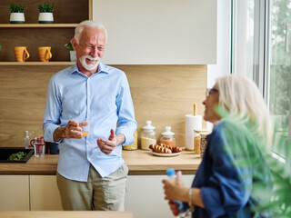 Portrait of a happy active senior couple dating and flirting in a restaurant, or at home in kitchen, love and relationship concept