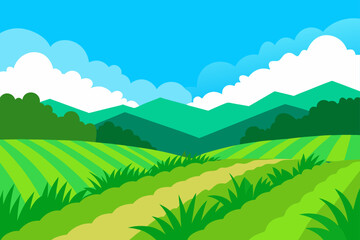 Obraz premium Lush Green Rice Paddies Rural Vector Illustration