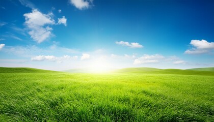 summer sunny background with blue sky and green meadow