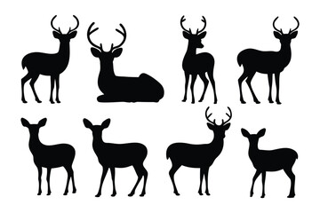 Collection of silhouetted donkey poses illustrating various views and activities of the domesticated equine animal