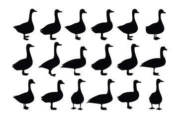Collection of black silhouette illustrations of various guinea fowl birds standing in different poses against a white background