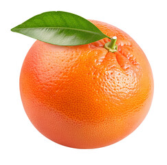 Fresh ripe grapefruit with vibrant green leaf on white background showcasing citrus fruit display
