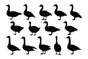 A collection of twelve stylized black and white guinea fowl illustrations showcasing distinct poses and patterns