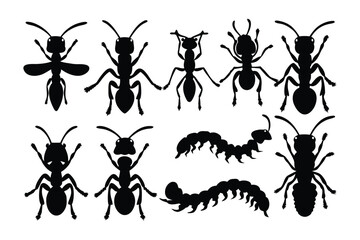 Collection of silhouetted insects with long antennae and segmented bodies arranged in rows