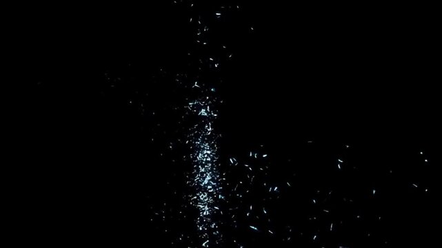 Mysterious Water Splashes in Darkness: A captivating display of water droplets, their glistening forms contrasting against a deep black backdrop, suggesting intrigue and unseen depths.