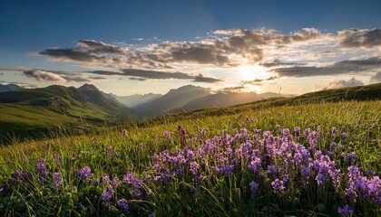 Obraz premium nature s beauty unfolds in a serene grassy meadow with purple blooms