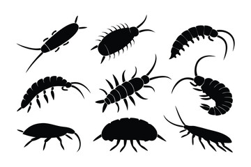 Collection of silhouettes depicting various aquatic arthropods with segmented bodies and multiple legs