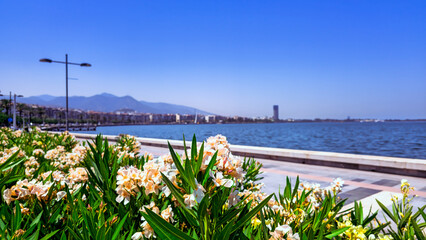 A sunny summer day in Izmir, Turkey.