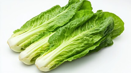 Fresh crisp romaine lettuce displayed on pristine white background for nutritious culinary inspiration