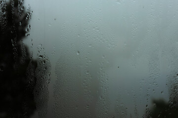 rain drops on window