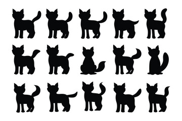 Silhouettes of various flower pistils and stamens showcasing diverse reproductive structures in botanical studies