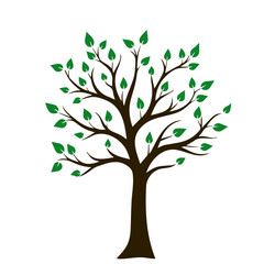 Obraz premium Vector postcard templates for nature lovers, Tree with green leaves on transparent background for design concept