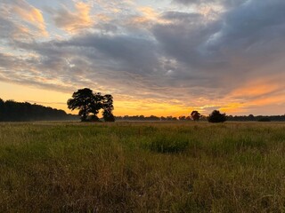 fantastic sunset in the field, twilights sky in the summer field