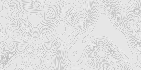 Lines seamless topography contour map abstract geometric landscape grid terrain texture mountain relief background, light grey background with detailed topographic map wave line smooth curve shape.