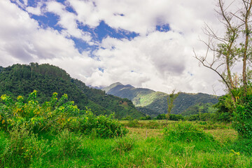 Obraz premium Golden hour landscape of Colombia’s coffee region featuring lush green hills and tranquil rural scenery.