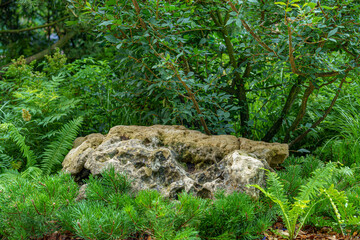 A large rock rests among lush green shrubs and plants in a garden. The natural combination of stone and foliage adds a sense of coziness and harmony to the space.