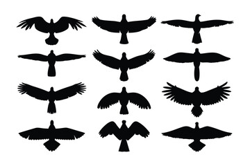 Collection of silhouetted feline figures demonstrating various poses and stances of domestic cats