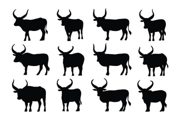 Collection of silhouetted schnauzer dog breeds in various poses showcasing their distinctive grooming styles