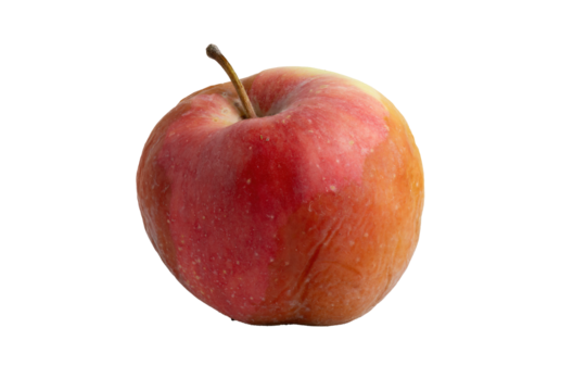 
Red apple with visible rot on transparent background
