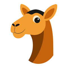 Obraz premium Head of Camel