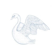 Elegant hand-drawn swan with open wings in vintage engraving style on white background. Perfect for luxury branding, wedding invitations, romantic packaging, nature-themed designs. Detailed line art