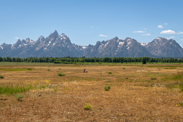 Grand Teton National Park