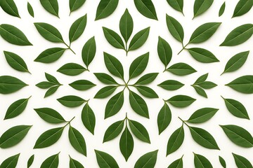 Leaf arrangement creates a decorative pattern on a pale surface in a visually pleasing design