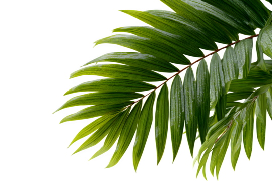 High-resolution crochet baby slippers made of blush yarn with soft ribbed trim, isolated on transparent background - Powered by Adobe